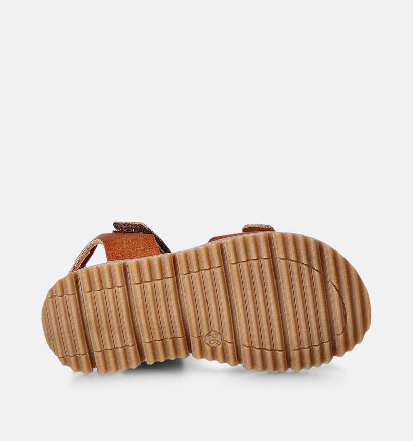 STONES and STONES Cognac Sandalen voor jongens (366243)