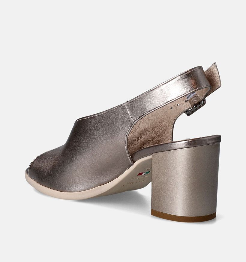 NeroGiardini Bronzen Sandalen met blokhak voor dames (358356)