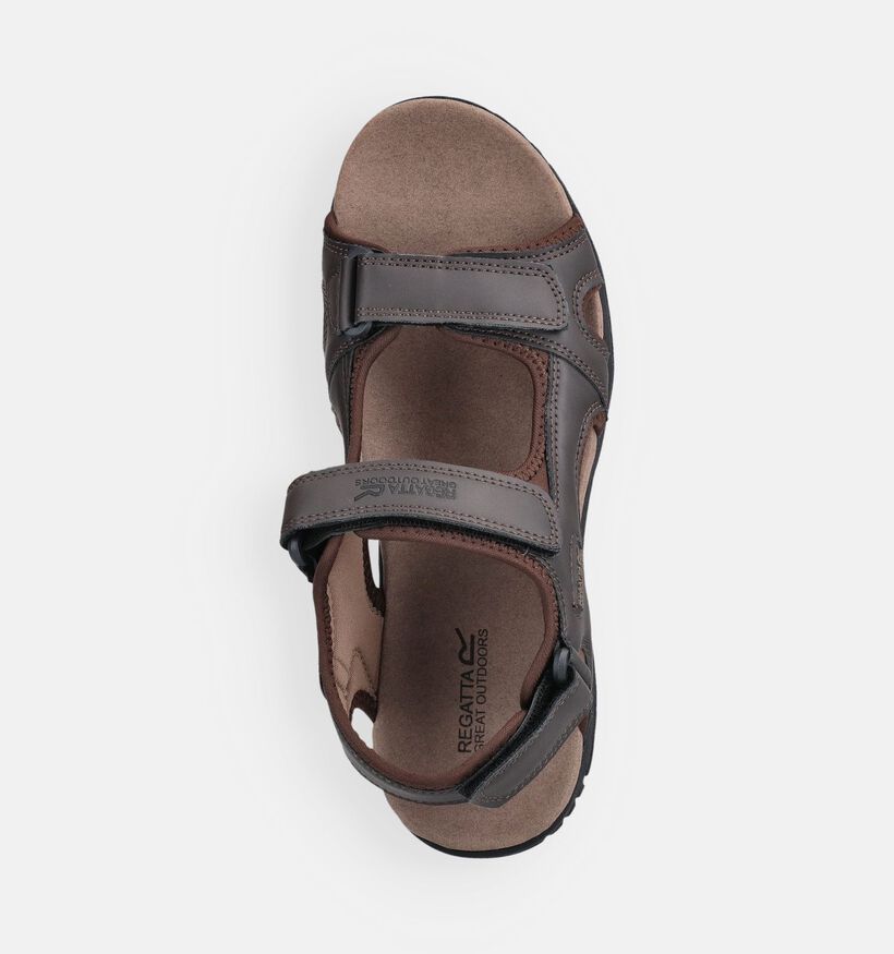 Regatta Harris Donkerbruine Sandalen voor heren (367968)