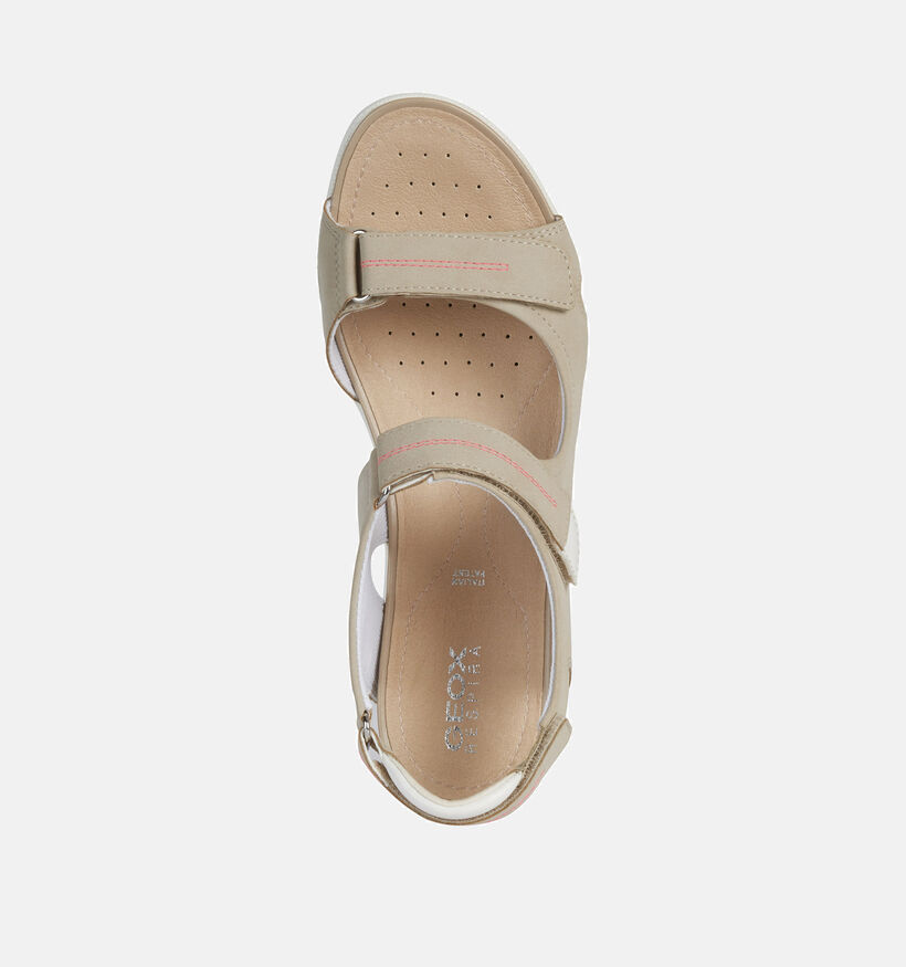 Geox Vega Taupe Sandalen voor dames (353765)