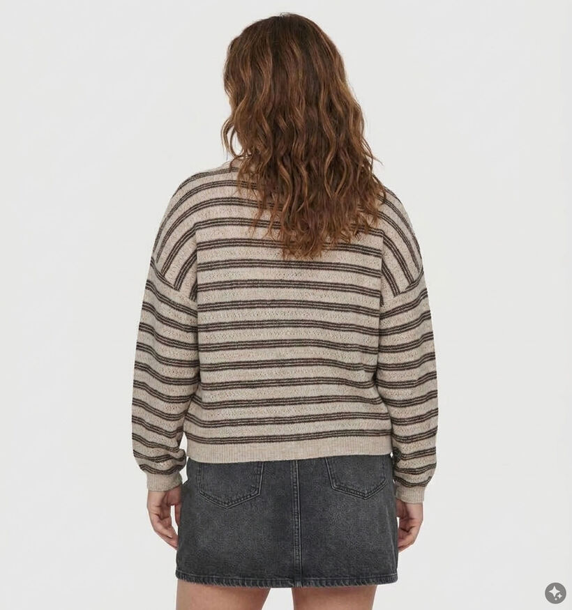 ONLY Carmakoma Monique Sweatshirt en Brun pour femmes (381919)