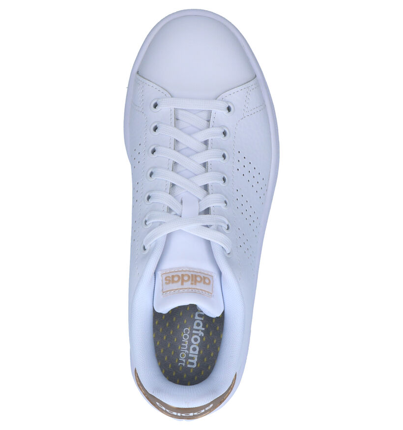 adidas Advantage Witte Sneakers in kunstleer (284790)