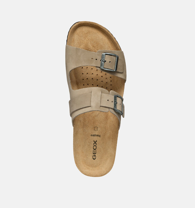 Geox Taupe Slippers voor heren (367991)