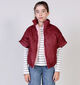 Little David Bordeaux/Roze Bodywarmer voor meisjes (366526)