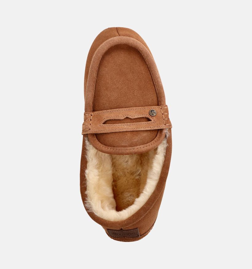 Warmbat Morwell Pantoufles en Cognac pour hommes (379315)