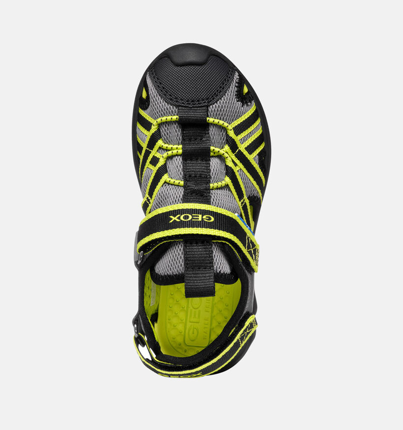 Geox Airadyum Zwarte Sandalen voor jongens (356382)