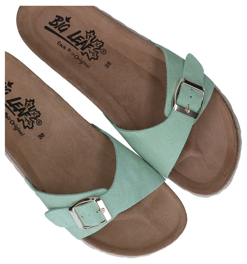 Big Leaf Groene Slippers in nubuck (292593)