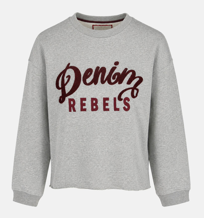 The Shirt Project Denim Rebels Grijze Sweater voor dames (381896)