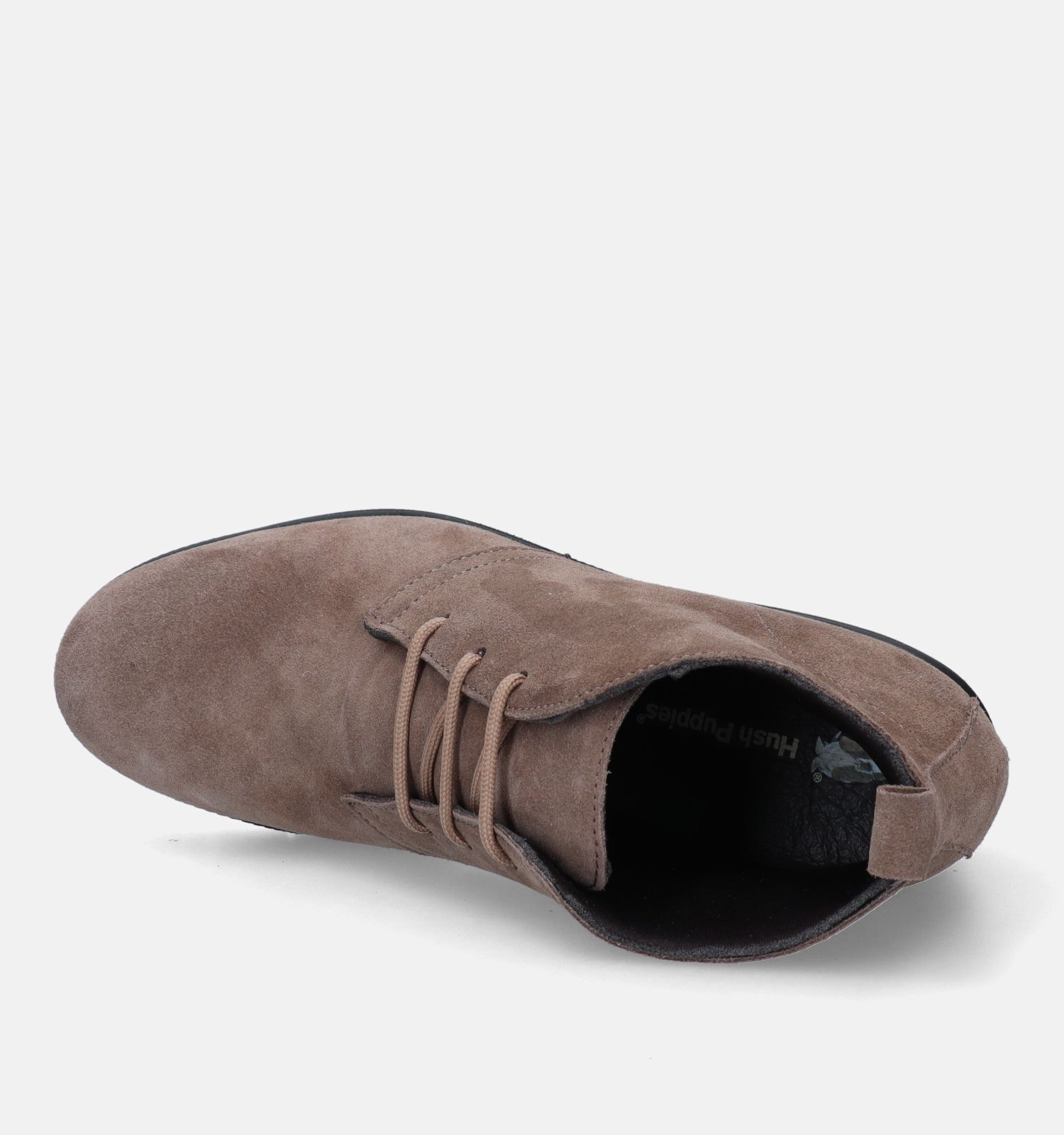 Enkellaarsjes hush on sale puppies