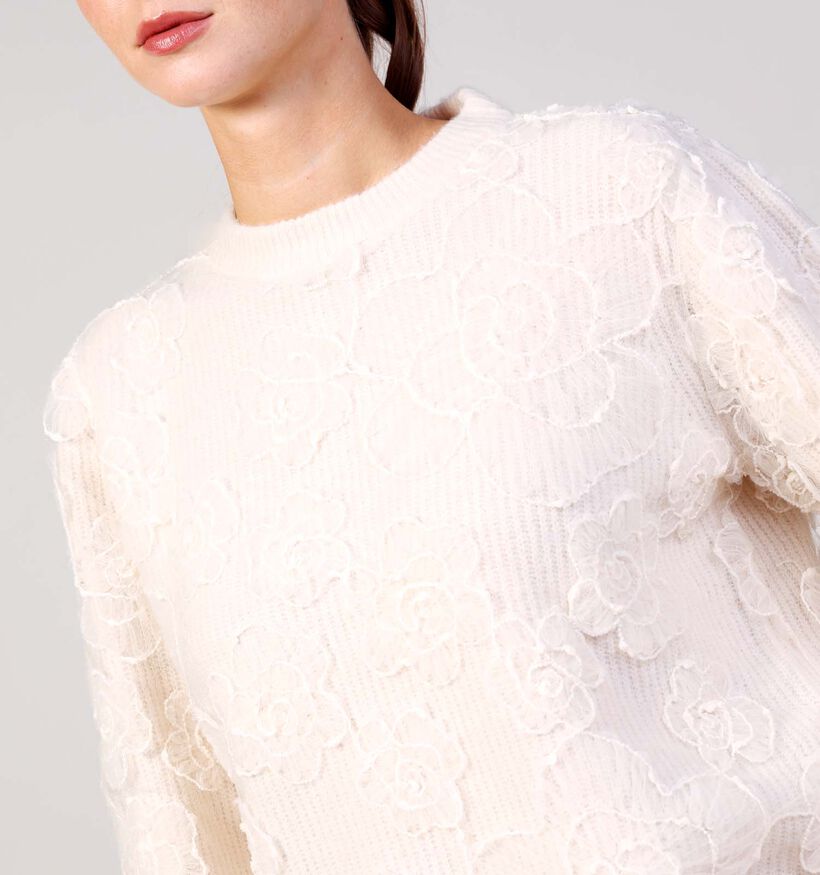 Vila Hayden Embroidery Knit Pull en Beige Vila Hayden Embroidery Knit Pull en Beige pour femmes (365602)