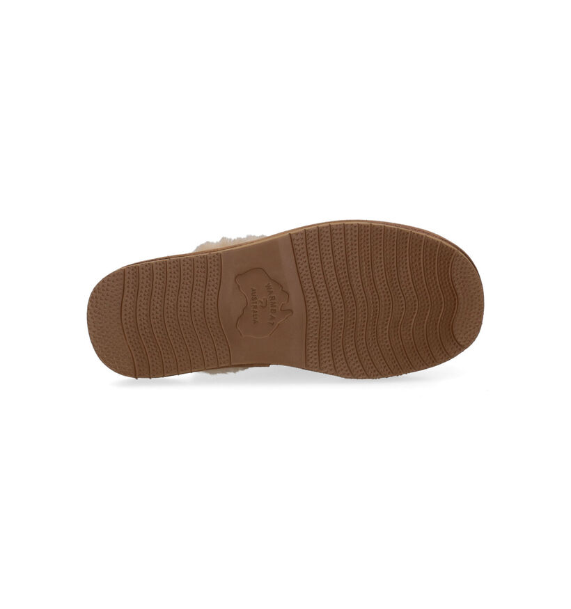 Warmbat Lismore Pantoufles en Marron en daim (296237)