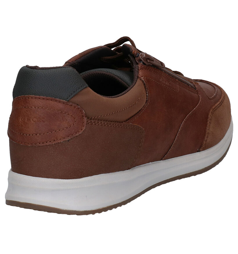 Geox Avery Cognac Veterschoenen voor heren (294766)