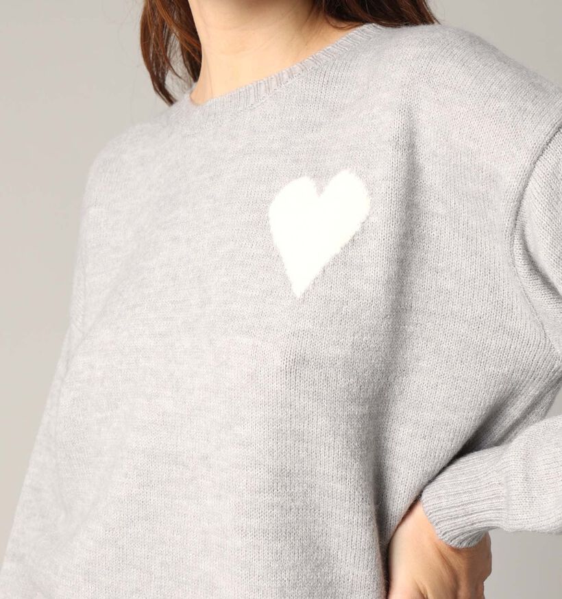 Deeluxe Original Adonis Grijze Trui voor dames (365445)