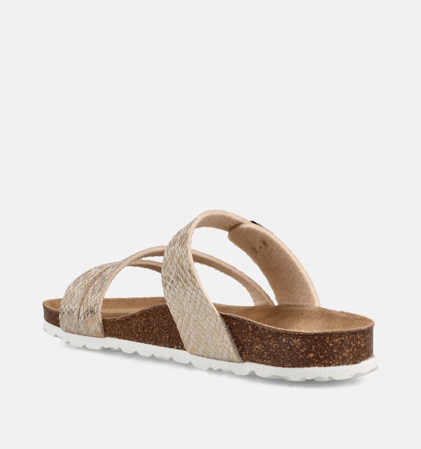 Laurent David Gouden Slippers voor dames (373776)