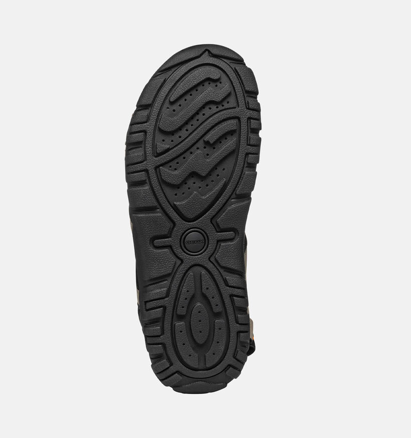 Geox Beige/Zwarte Sandalen voor heren (369122)
