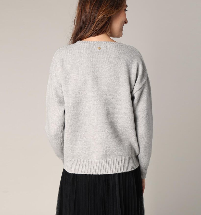 Deeluxe Original Adonis Grijze Trui voor dames (365445)