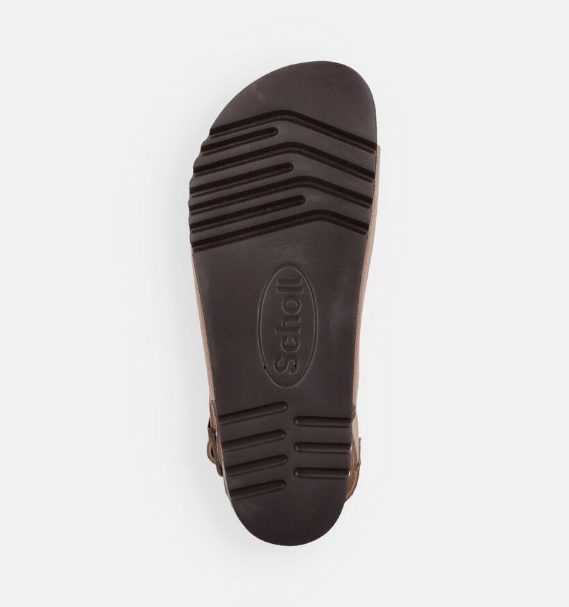 Scholl Julien Backstrap Sandales en Beige pour hommes (369892)