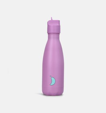 Chilly's Gourdes Violet/Bleu/Vert