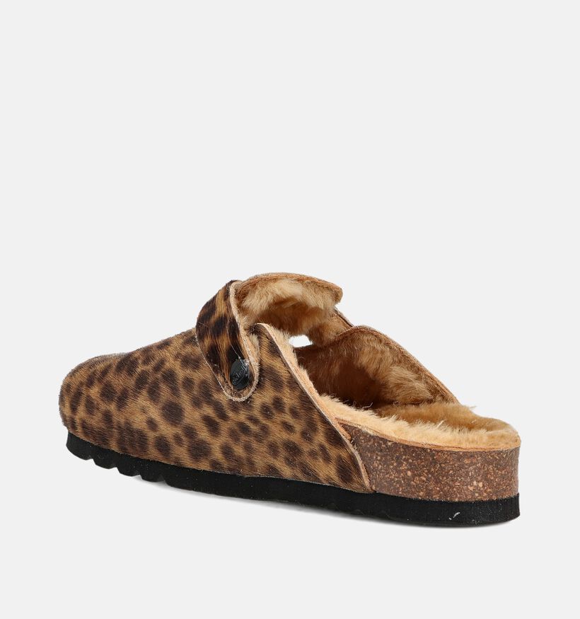Scholl Bruine/Leopard Gesloten Slippers voor dames (364555)