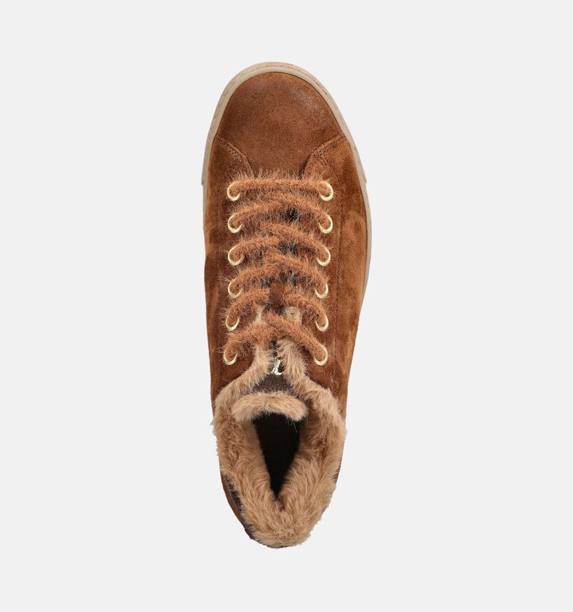 Paul Green Baskets en Marron pour femmes (379785)