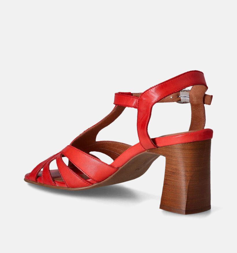 Creator Rode Sandalen met blokhak voor dames (357781)