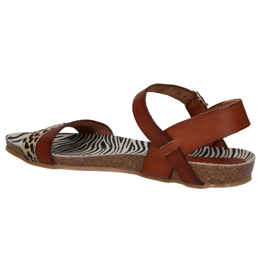 Red Rag Cognac Sandalen in leer (288689)