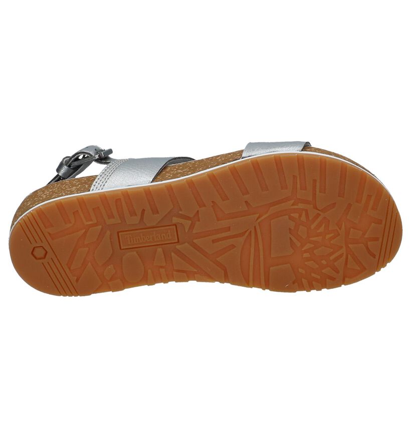Timberland Malibu Waves Zilveren Sandalen in leer (212318)