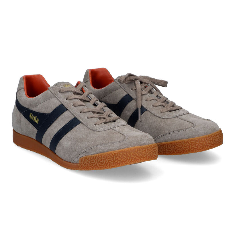 Gola Harrier Baskets en Bleu en daim (325099)
