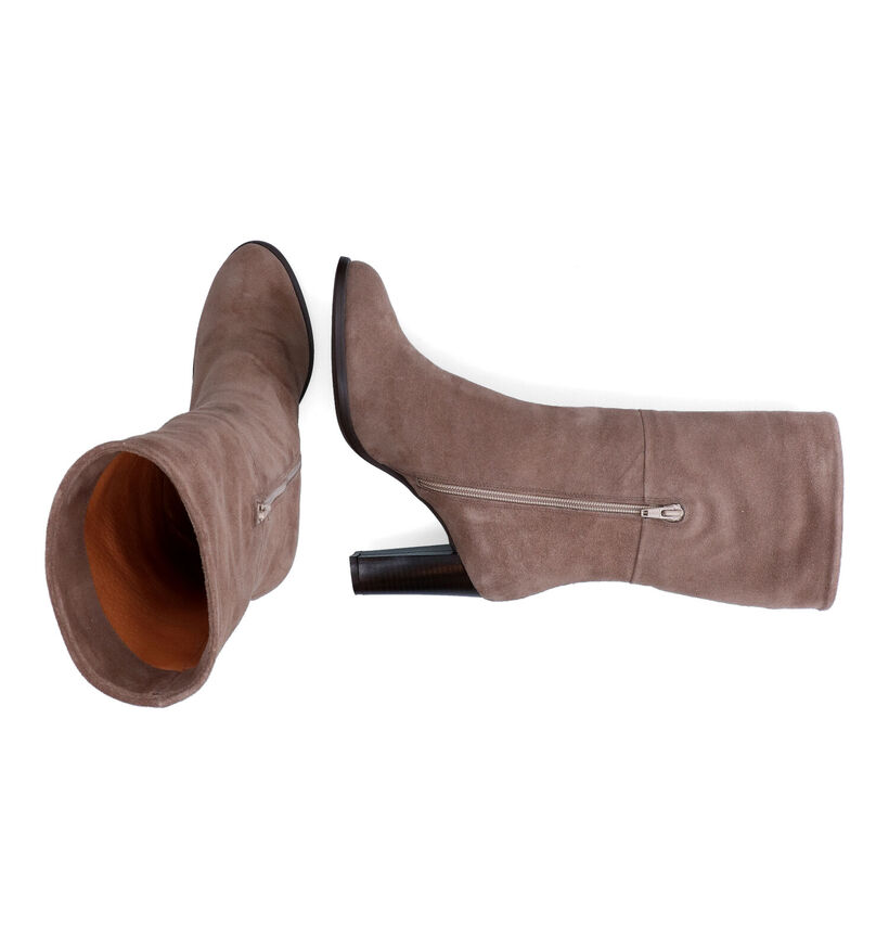 Signatur Bottes courtes en Taupe pour femmes (308203)