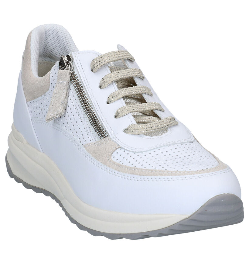 Geox Airell Witte Veterschoenen in leer (285578)