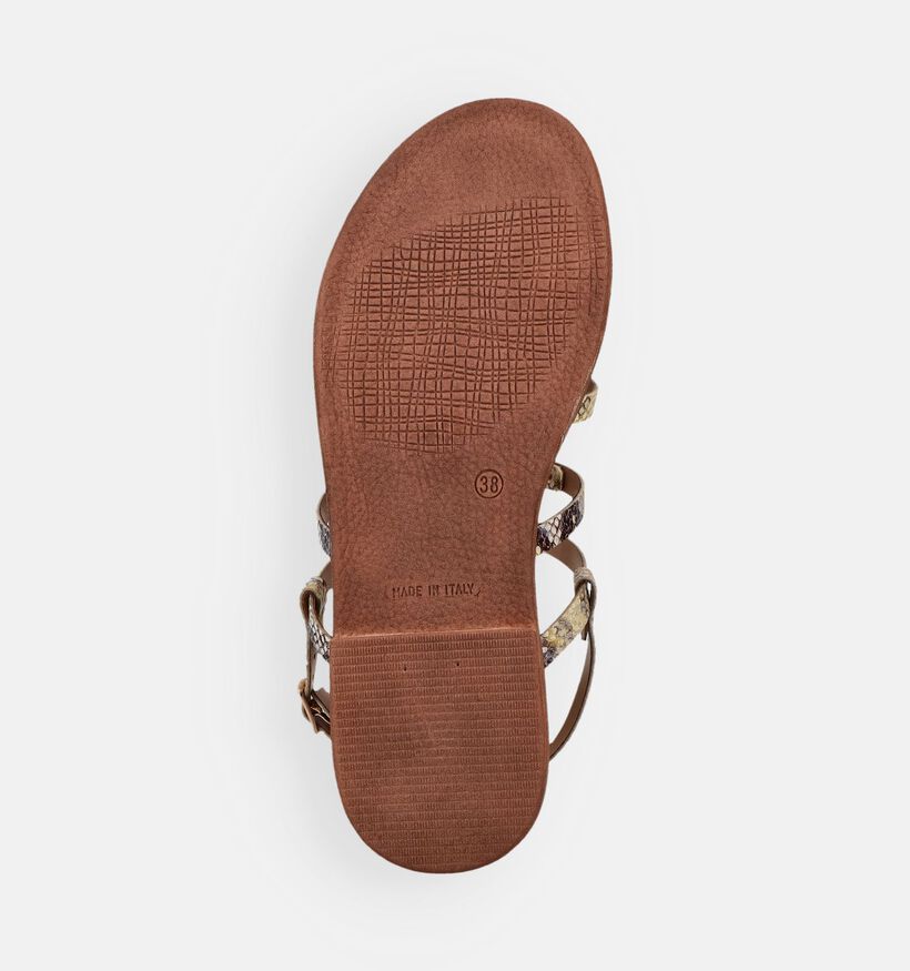 Laurent David Snake Gele Sandalen voor dames (374153)