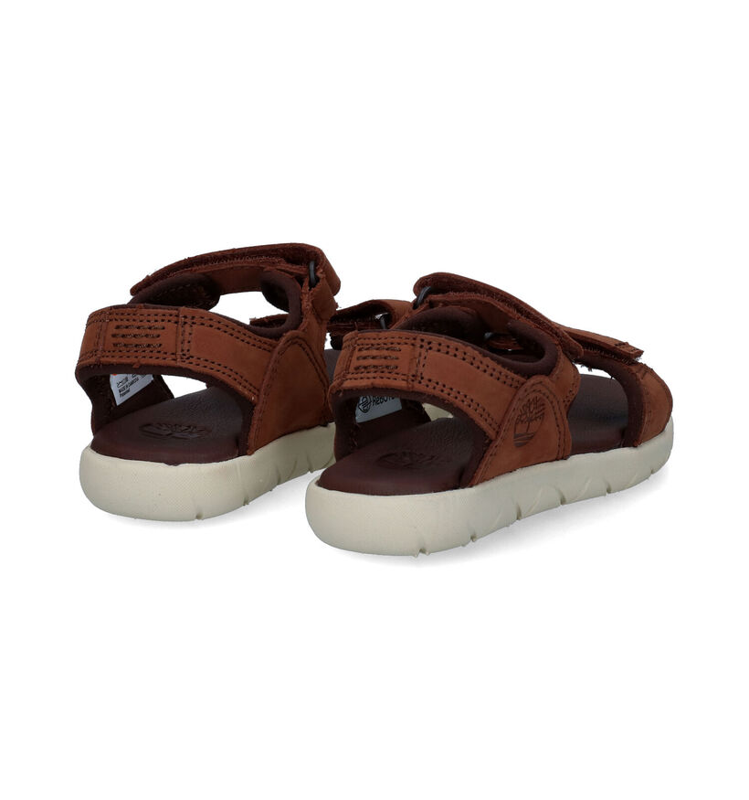 Timberland Nubble Sandal LTHR 2 Strap Bruine Sandalen voor jongens (305835)