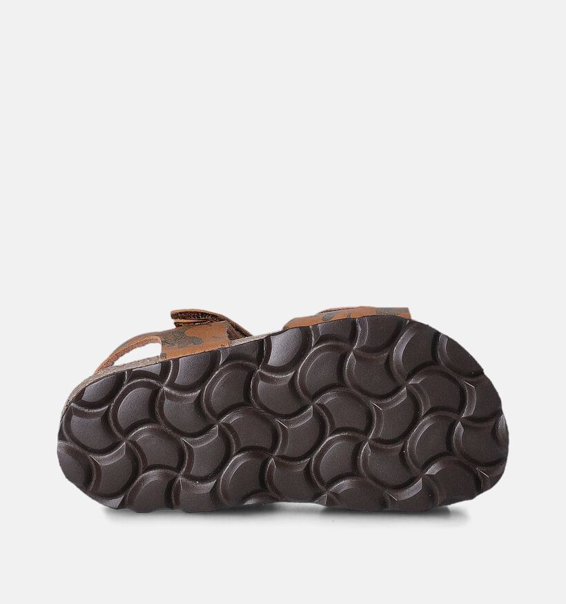 Little David Giganto 2 Cognac Sandalen voor jongens, meisjes (356054)