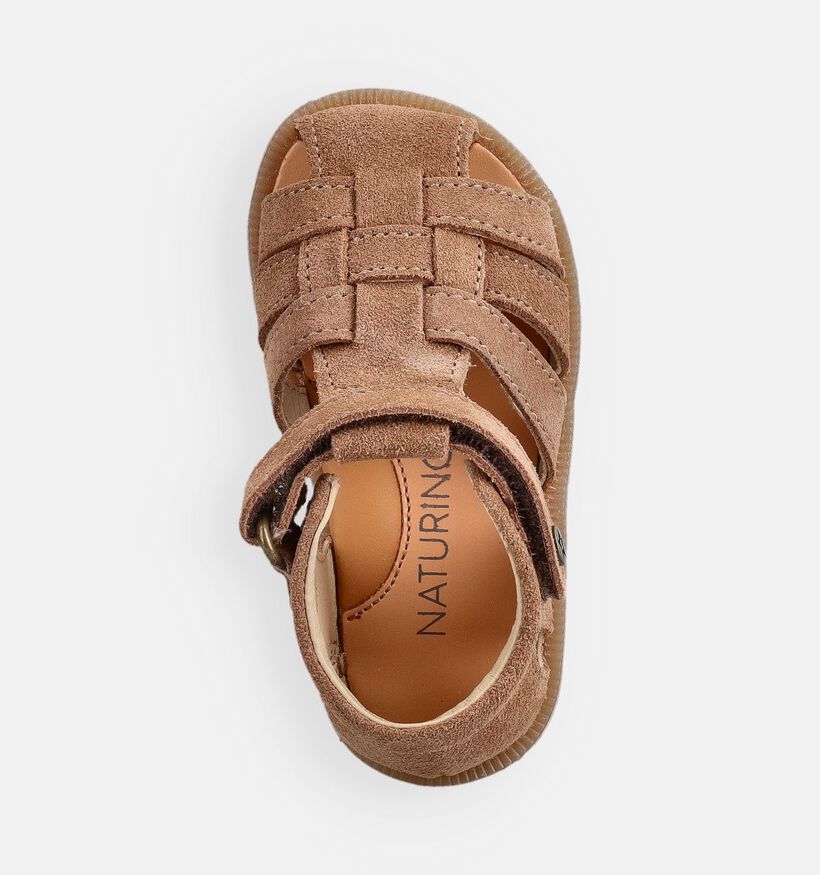 Naturino Zaffiro Suede Sandales pour b&eacute;b&eacute; en Marron pour filles, gar&ccedil;ons (371624)