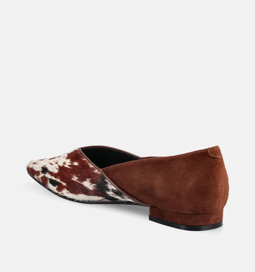 Nathan-Baume Ballerines en Marron pour femmes (380240)