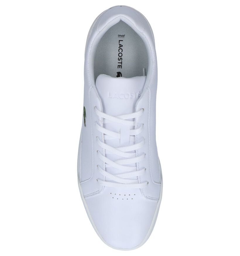 Witte Sneakers Lacoste Challenge in kunstleer (239428)