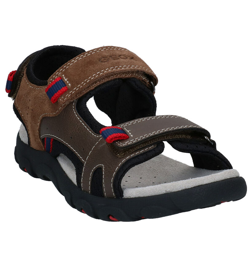 Geox Bruine Sandalen in kunstleer (286966)