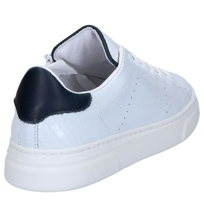 Hip Baskets basses en Blanc en cuir (272355)