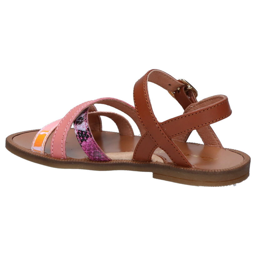 Romagnoli Sandales en Multicolore en cuir (269651)