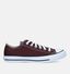 Converse Chuck Taylor All Star Fall Tone Bruine Sneakers in stof (327845)