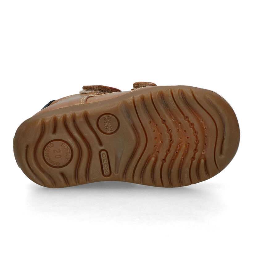 Geox Macchia Chaussures pour bébé en Cognac pour garçons (325551)