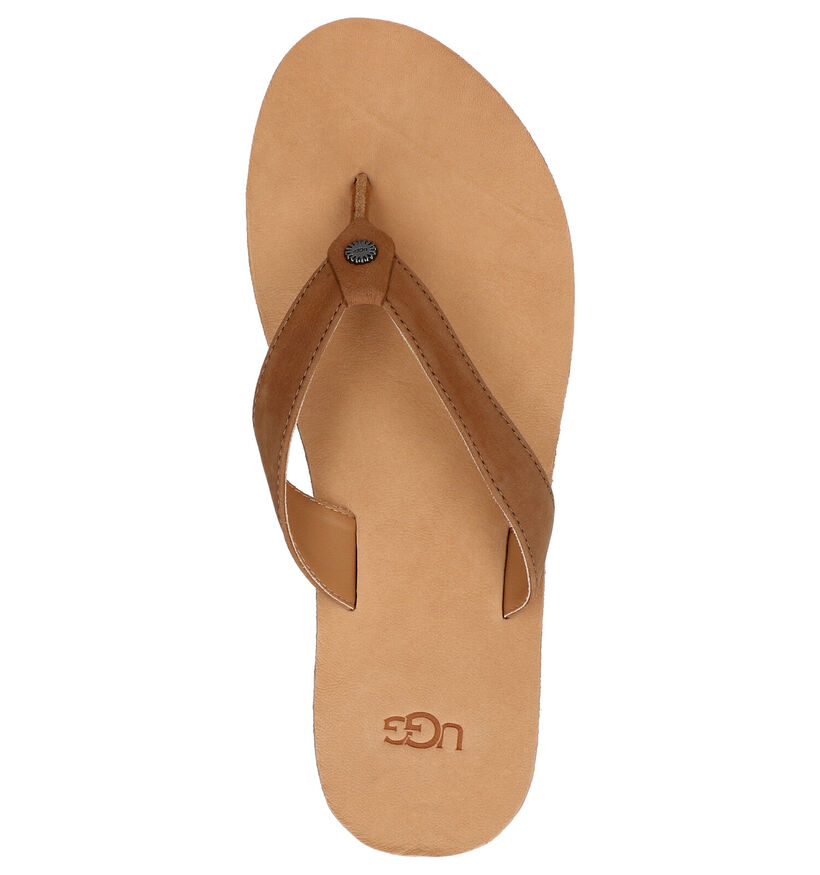 Ugg Tawney Cognac Teenslippers in leer (266673)