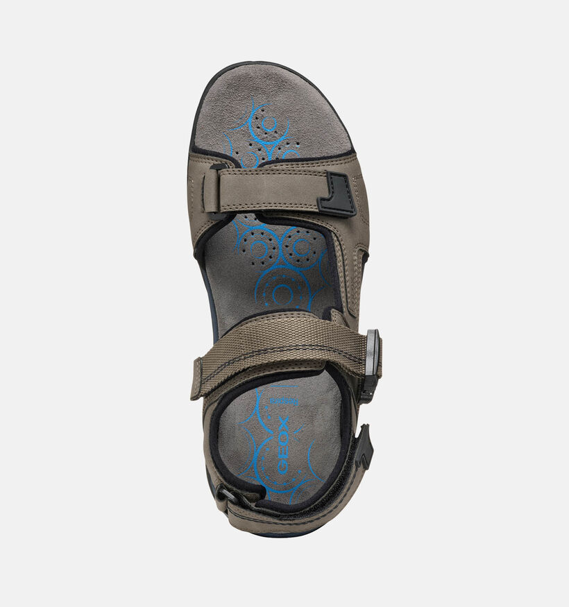 Geox Spherica Sandales de marche en Gris pour hommes (353843)