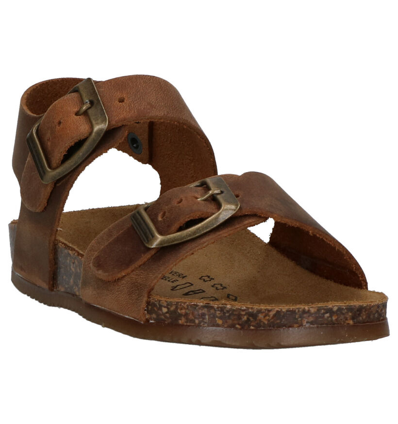 Biomodex Bruine Sandalen in leer (284498)