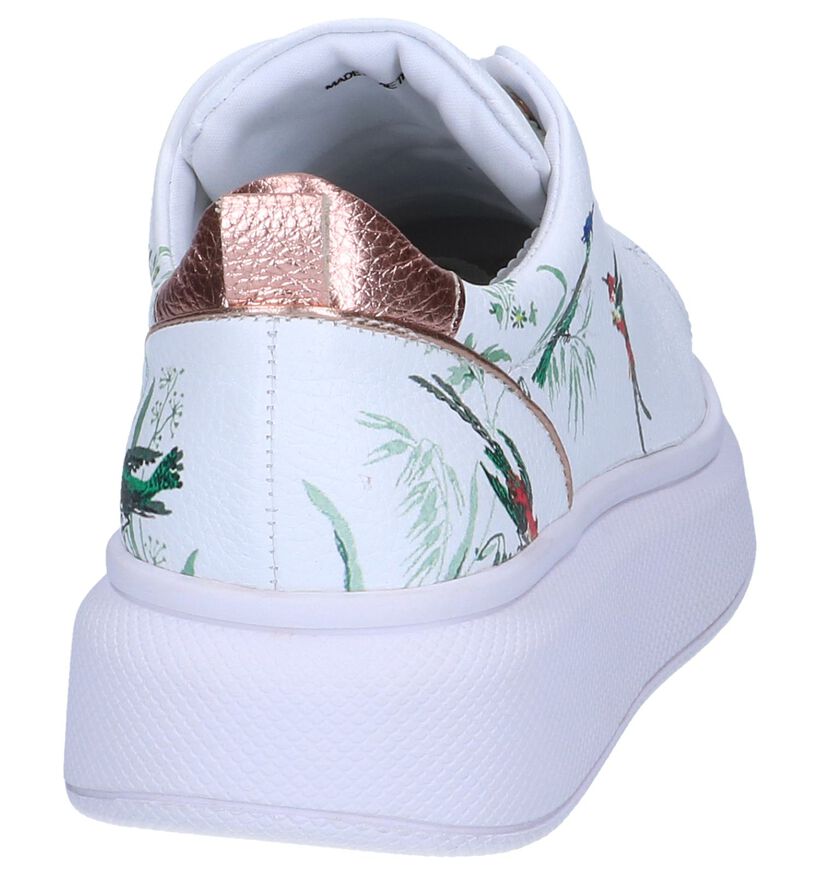 Witte Sneakers Ted Baker Ailbe 4 in leer (241709)