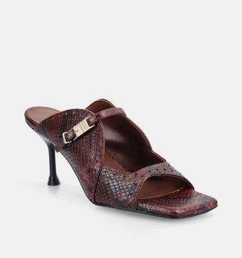 March23 Slippers Bruin