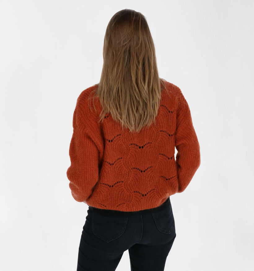 Dolce C. Gilet en Fuchsia (290088)