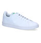 adidas Advantage Base Witte Sneakers in kunstleer (319045)