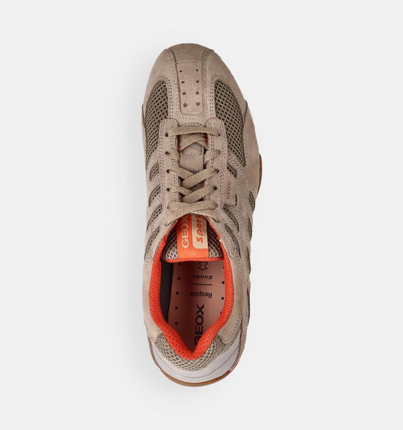 Geox Snake Original Chaussures &agrave; lacets en Beige pour hommes (368003) - pour semelles orthop&eacute;diques