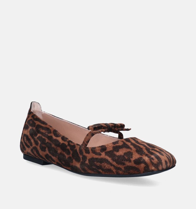 Unisa Betar Ballerines en Brun pour femmes (349112)